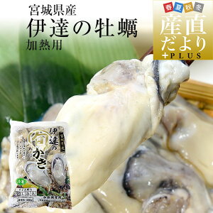 {錧Y y(Ⓚނg) Mp MTCY 500g  y  JL