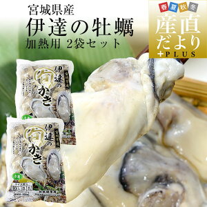 {錧Y y(Ⓚނg) Mp MTCY 500g×2܁@v1L  y  JL