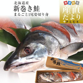 北海道より直送　新巻鮭 姿切り身 大型の鮭 まるごと1尾分 約2.5キロ 送料無料　北海道サケ シャケ 秋鮭 新巻き鮭