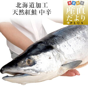 kC蒼@kCH@VRg@h@܂邲1{@1.6LȏiVAYj @g@ׂɂ@VP ~Mtg
