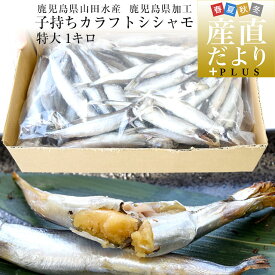 鹿児島県山田水産より発送　鹿児島県加工　特大　子持ちカラフトシシャモ（アイスランド産）1キロ（50尾前後）※クール冷凍便　送料無料　ししゃも　シーフード