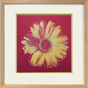 !PT10{Ҍ!ybicosya/HЁzAndy Warhol / AfBEEH[z A[gt[ Daisy, c.1982(fuchsia & yellow)s/G//j/G/Ǌ|/|X^[^A[g/|p/p//sN`[//C