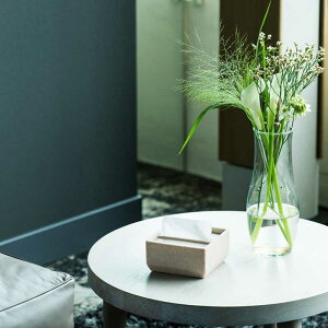 |Cg10{yCfAR/ideacoztorel half / g n[tseBbVP[X/Β//kt