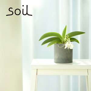 |Cg10{ysoil/\Cz@PLANTER COVER v^[Jo[