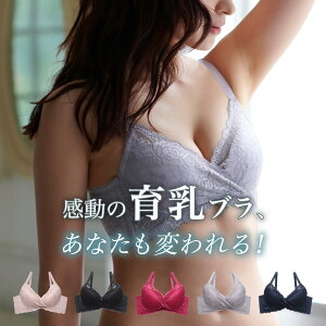 【送料無料】Rushe 自胸で育乳ブラジャー (ブラ 盛りブラ)[BCDEFカップ]育乳ブラ ブラジャー 下着カシュクール レース 大きいサイズ 脇高 脇肉ブラ 谷間ブラ バストアップブラ 補正ブラ 補正下着 ブラジャー 下着 レディース セット セクシー