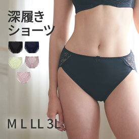 深履きショーツ レディース フルバック ショーツ 深め レース スタンダードショーツ [M L LL 3L] ヒップ包み込み 大きいサイズ シンプル 下着 [三恵]