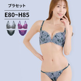 脇高ブラジャー ショーツ セット ブラ＆ショーツ(ブラ ブラセット ブラショー ブラショーツ)[EFGHカップ]花柄 薔薇柄 バラ柄 ローズ柄 刺繍 刺しゅう ししゅう チュールレース 脇肉 脇すっきり 着やせ 細見え 大きいサイズ ぽっちゃりブラジャー [三恵]