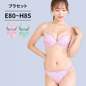 脇高ブラジャー ショーツ セット ブラ＆ショーツ(ブラ ブラセット ブラショー ブラショーツ)[EFGHカップ]花柄 刺繍 刺しゅう ししゅう チュールレース ラインストーン 脇肉 脇すっきり 背中すっきり 着やせ 細見え 大きいサイズ ぽっちゃりブラジャー [三恵]