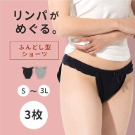 3枚セット【ふんどしショーツ】綿95% 締め付けない レディース ショーツセット まとめ買い 鼠径部ラク 敏…