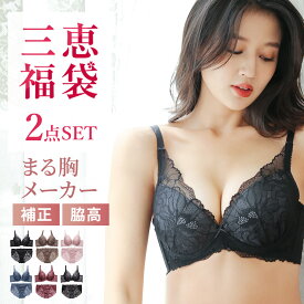 【送料無料】2点セット福袋 まる胸メーカーブラ＆ショーツ 【BCDEFカップ】育乳ブラ ブラジャー ショーツ セットブラショーツ ブラ ショーツ セット ブラショーツ 福袋 2026 レディース ※不良品以外の返品交換一切不可 福袋2025
