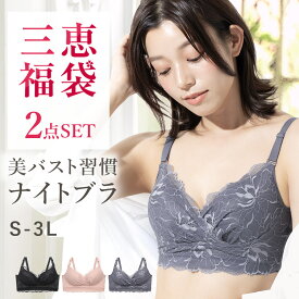 【2枚組】昼夜兼用ナイトブラ福袋 美胸ホールドブラ 育乳ブラ ノンワイヤー ブラジャー 大きいサイズ 小胸対応 快眠設計 下着 レディース 肌に優しい 綿混 快適フィット S M L LL 3L Rushe ルシェ 送料無料 福袋 2026