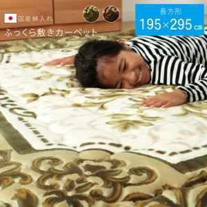  ~zc 195×295cm `   Y ӂ  h ԕ Ru {A ۉ V Ɍ