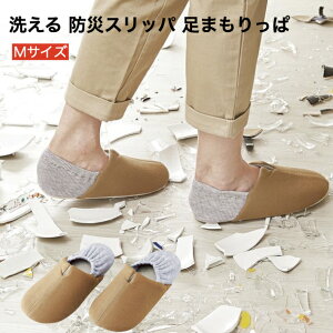 y|Cg5{zhЃXbp ܂ MTCY [Xbp  h ObY ̈ٗ 㗚 펞 ЊQ΍