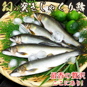VR i8j Ⓚ  ăMtg  VN Ăp 싛 o[xL[ Lv l Y ӂ邳 Yn `@  jp  蕨  ۂ Ă 