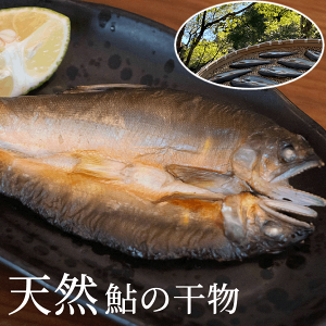 天然鮎 干物 冷凍 6尾 四国徳島県清流海部川産 産地直送 希少 伝統漁法 徳島県産 贈答 お祝い用 長寿祝い 父母 恩師 贈り物 自然一夜干し風 お買い物マラソン