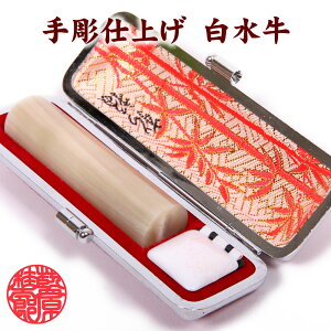   13.5mm×60mmj󑊑 P[Xt/ VRf 蒤dグ  s F AEj