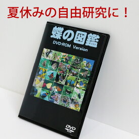 楽天市場 クリスマス プレゼント 中学生 Cd Dvd の通販