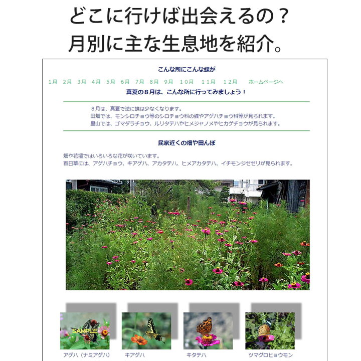 楽天市場 蝶の図鑑 Dvd ポスト投函 メール便 ネコポス 送料無料 1日で出来る 夏休み 自由研究 チョウ 写真画像収録 電子図鑑 小学生 中学生 教材 プレゼント あわいち 徳島 阿波の産直便