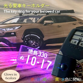 LED キーホルダー 名入れ 光る ナンバープレート （LEDスケルトン）7色 推し色 レーザー彫刻 名入れ アーティスト名 オーダーメイド かっこいい キーホルダー 車好き 退職記念品 彼 父 夫 水晶婚 誕生日 プレゼント