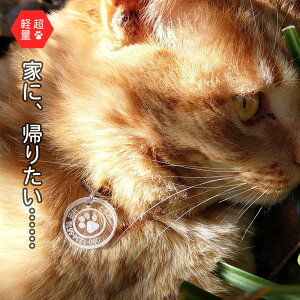 Lp 3g̖qDie2Zbgjy qD l[^O Ȃ   D  AN 킢   L ybg  I[_[Ch   J