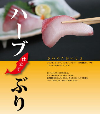 ハーブ仕立て鰤ラウンド5kg×1本宅配便送料無料☆☆鰤海の幸ブリぶり活き〆贈答ギフト寒ブリ寒鰤寒ぶり産地直送※代引き不可※12月28日年内最終発送