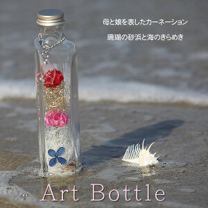 A[g{g [U[ n[g^bZ[W^Ot ̓ J[l[V }fUC IWiMtg v[g/bottle {g Ȃ  z  J[l[V  