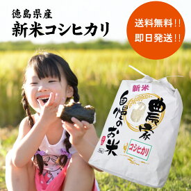 米 コシヒカリ 5kg＼備蓄米よりやっぱり新米／ 令和7年産 コシヒカリ 5kg 徳島県産 精米（白米）生産農家より産地直送 一人暮らし 自炊 娘 息子
