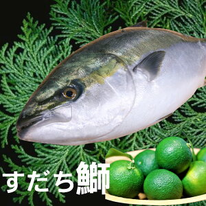 Ε  4kgO×1{iEhj u  hg hg hg   u Jpb` 1 ① O Mtg v[g i Yn CN  N