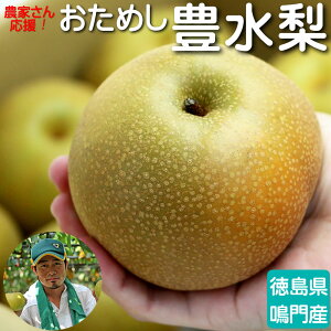 豊水 梨の人気商品 通販 価格比較 価格 Com 豊水 梨の人気商品 通販 価格比較 価格 Com