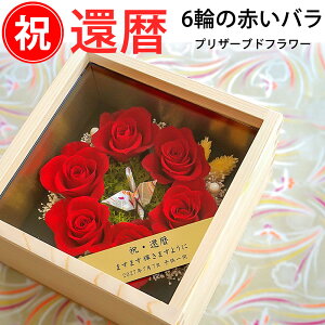 җjiܒ߂ƐԂo6ցjÖꏡ܂P[X vU[uht[ җ j v[g c ܒ   o S[hv[g  {bNXt[   o  60 