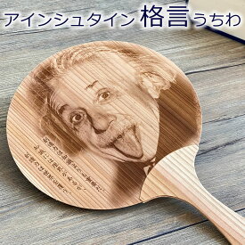 楽天市場 アインシュタイン グッズの通販