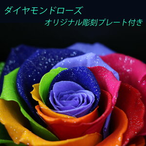 _ChC{[[Y vU[uht[ {bNXt[ KN A[T IWibZ[W LO Mtg  ͂Ȃ  LO a 