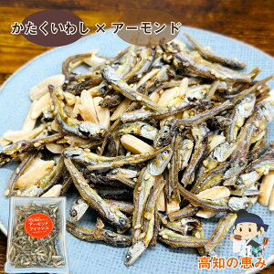 A[htBbV 245g ll1 Nu ܂ JVE h{  A[h A[h CV ̂ Mtg ql qǂ َq mY