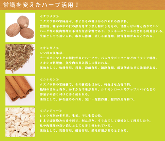 ハーブ仕立て鰤ラウンド5kg×1本宅配便送料無料☆☆鰤海の幸ブリぶり活き〆贈答ギフト寒ブリ寒鰤寒ぶり産地直送※代引き不可※12月28日年内最終発送