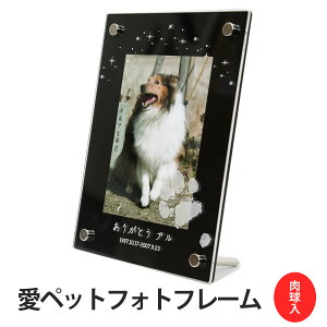 ybg tHgt[uɊ肢vc^^Cv/[U[  I[_[Ch xr[ LbY tHgX^h q 0 0 1 1  ʐ^ AMtg v[g 