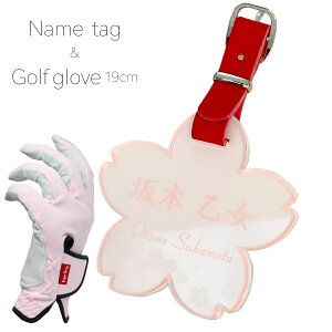 fB[X Stp ܁l[v[g^  Mtg2_Zbg ifB[XO[u18,19,20cmj NAsN zCgobNv[gt /[U[ ϋv StobO 