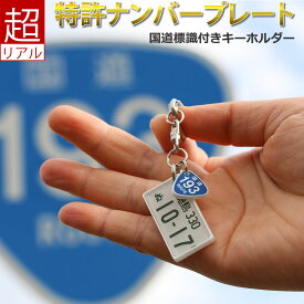 国道標識付 ナンバープレート キーホルダー スマートキー キーホルダー 納車記念 免許返納 愛車 廃車記念 名入れ オーダーメイド 誕生日プレゼント 退職記念品 ミニチュア ナンバーフレーム動 2026