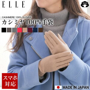 _SALE^yRSLz G ELLE JV~ 100 JV~ O[u  fB[X  X}z uh X}zΉ ^ubgΉ wl { h h g ₦΍ 