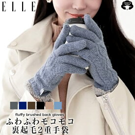 【楽天スーパーSALE！最大2,000円OFFクーポン】送料無料 エル ELLE 裏起毛 2重 ニット 手袋 レディース ケーブル柄 レディース手袋 てぶくろ ニットグローブ ニット手袋 防寒 防風 暖かい ベージュ ギフト プレゼント 女性 婦人 かわいい 可愛い ふわふわ もこもこ