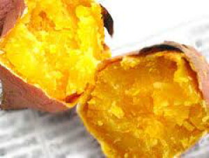 FN₩ȉFxI@{ÂqY[100gp I@ƊÂɂE߂łBy𑢁z@q[îjĒ@܈[i܂̂j