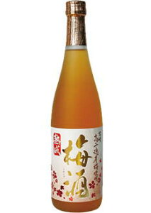 __Ƃō͔|ꂽY̔~gpBYEF̔~łB{_bɂẮAjjM̓V~Ղ̒nƂĂ{EY̑嗱̔~gpy𑢁z@n@