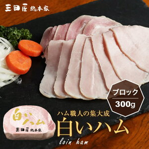 n p ؃[XƎ̉M@ŃAbTƂɎdグn300giubNj