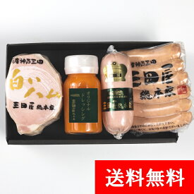 ハム 贈答用 ギフト 詰め合わせ ハム セット 【送料無料】 RS-45 三田屋 ハムギフト 特製ドレッシング ハム セット 贈答用 内祝い ギフトセット 内祝 内祝い ギフトセット 出産内祝 詰合せ 御祝 御礼 結婚内祝 母の日 父の日 贈り物 誕生日 プレゼント お中元 お歳暮