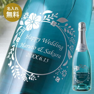  v[g Mtg Xp[NO C E@[OEu[ 750ml j  LO TVOu[ l җ   a ̓ ̓ ސE  hV ⍥  