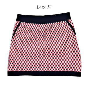 WIgbNjbgXJ[gy݌Ɉ|SALEz StfB[X StXJ[g fB[XStXJ[g StZbgAbviJ[fBKʔj  lCr[ bh ubN 