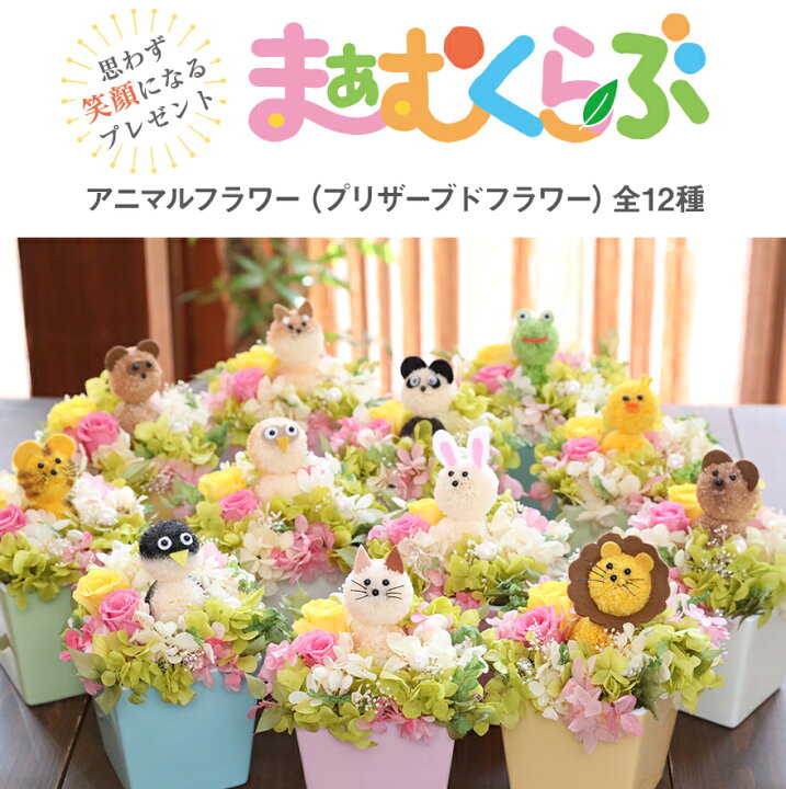 楽天市場】【10/18・10/20ポイント5倍】あす楽12時 誕生日 花  