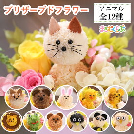 スーパーセール10％引き】 最短翌日配送 誕生日 花 父の日 お供え プリザーブドフラワー ギフト 開店 開院 お祝い 結婚 枯れない 動物病院 動物 犬 猫 くま うさぎ 鳥 トラ ライオン カエル パンダ ふくろう