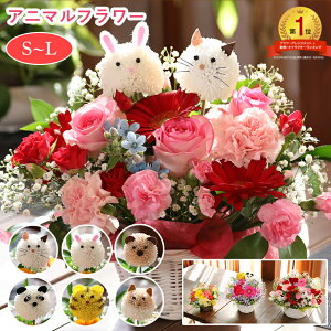 y10|Cg5{z ŒZz a  nEB ܎O  AW Aj}t[ v[g Mtg JX J@ N LO j ސE ʉ   ˂  