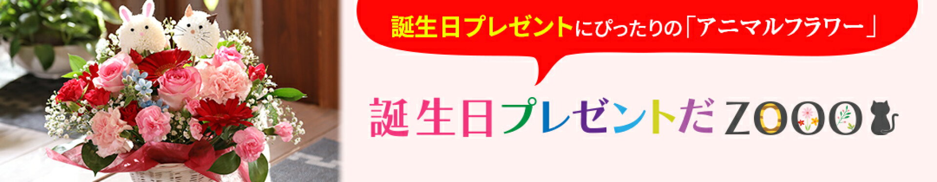 誕生日プレゼントだZOOO