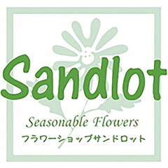 サンドロット